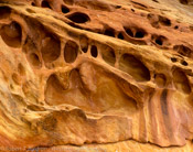Sandstone Swiss Cheese, Capitol Reef National Park, Utah (4x5)